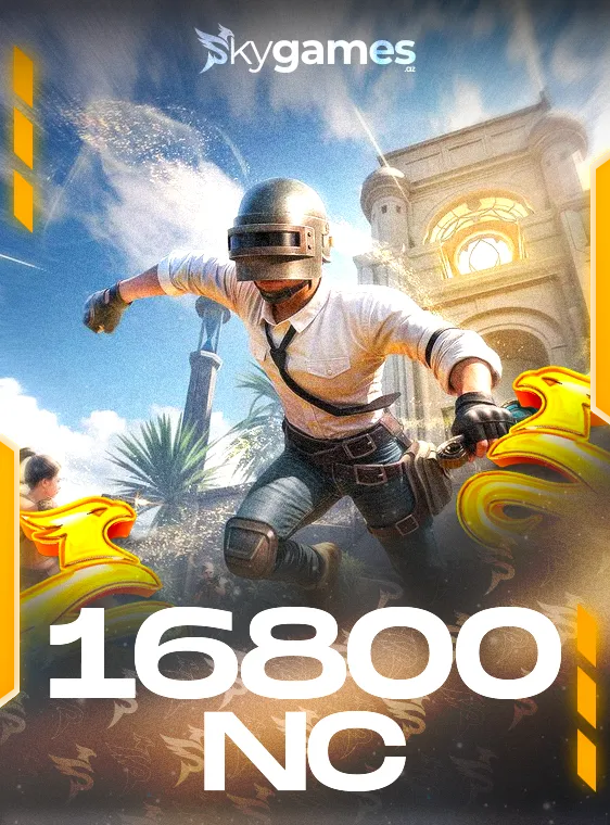 PUBG New State 16800 NC E-PİN